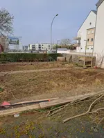 1000027871.webp