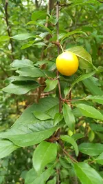 20250728_104609.webp