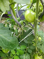 IMG_20250728_102952.webp