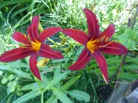 P1020321.webp