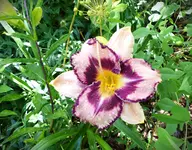 P1020222.webp