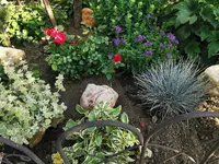 IMG_20250725_080213.webp