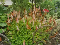 IMG_20250727_102346.webp
