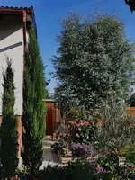 IMG_20250725_075903.webp