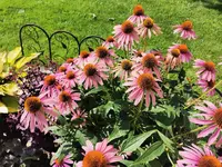 IMG_20250720_095042.webp