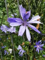 IMG_20250727_115321.webp