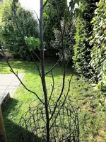 IMG_20250514_074823.webp