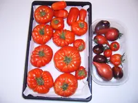Ernte 01.08.25.webp