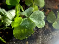 055.webp