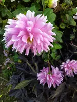IMG_20241103_152742.webp