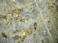 Glasscherbe.webp