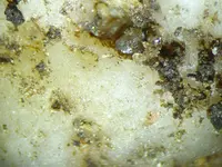 Kieselstein.webp