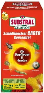 Careo.webp