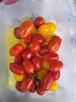20250802_141233.webp