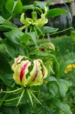 DSC02446.webp