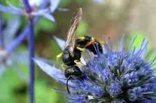 DSC02200.webp
