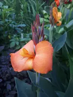 20250802_185649.webp