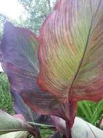 20250803_171504.webp