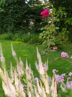 IMG_20250806_173150.webp