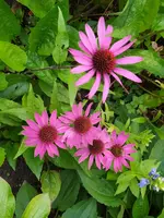 IMG_20250806_172845.webp