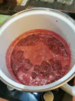 IMG_20250806_171806.webp