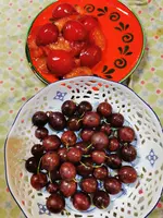 IMG_20250806_153248.webp