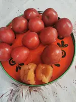 IMG_20250801_181005.webp