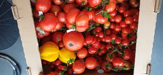 20250807_095927.webp