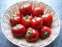 Duma 07.08 (3).webp
