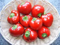Duma 07.08 (1).webp