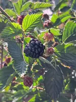20250807_172235.webp