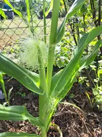 20250807_172201.webp