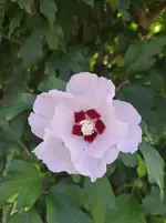 20250807_171611.webp