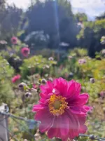 20250807_171521.webp
