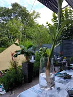 IMG-20250807-WA0022.webp