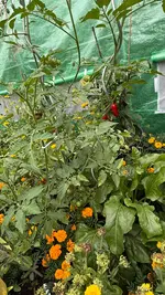 IMG_5434.webp