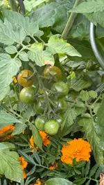 IMG_5435.webp