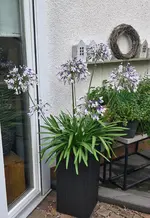 20250808_175538.webp