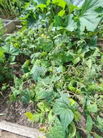 20250808_142653.webp