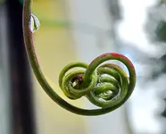 DSCx02277.webp
