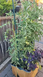 20250808_195858.webp