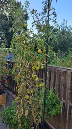 20250808_195937.webp