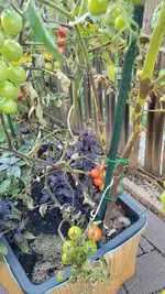 20250808_200017.webp
