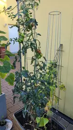 20250808_200139.webp