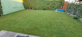 20250809_065226.webp