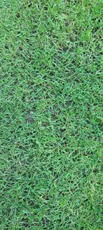 20250809_065245.webp