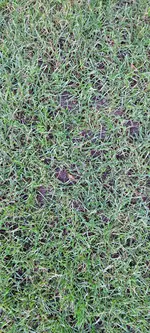 20250809_065319.webp