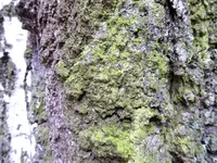 011.webp