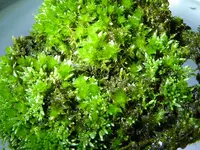 012.webp