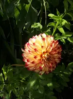 20250806_162819.webp